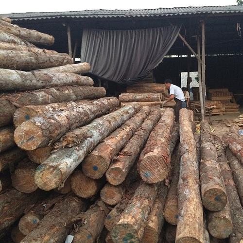 厂家** 优质原木可加工 木材加工 原木定制加工 木头制品产品简介